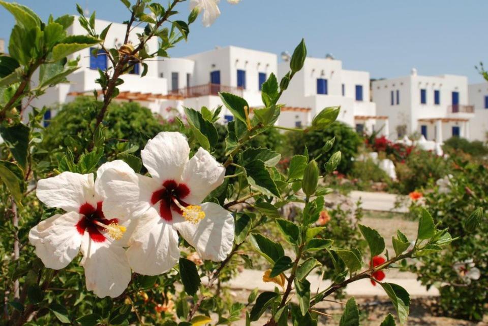 Niriedes Villas Lipsi Luaran gambar